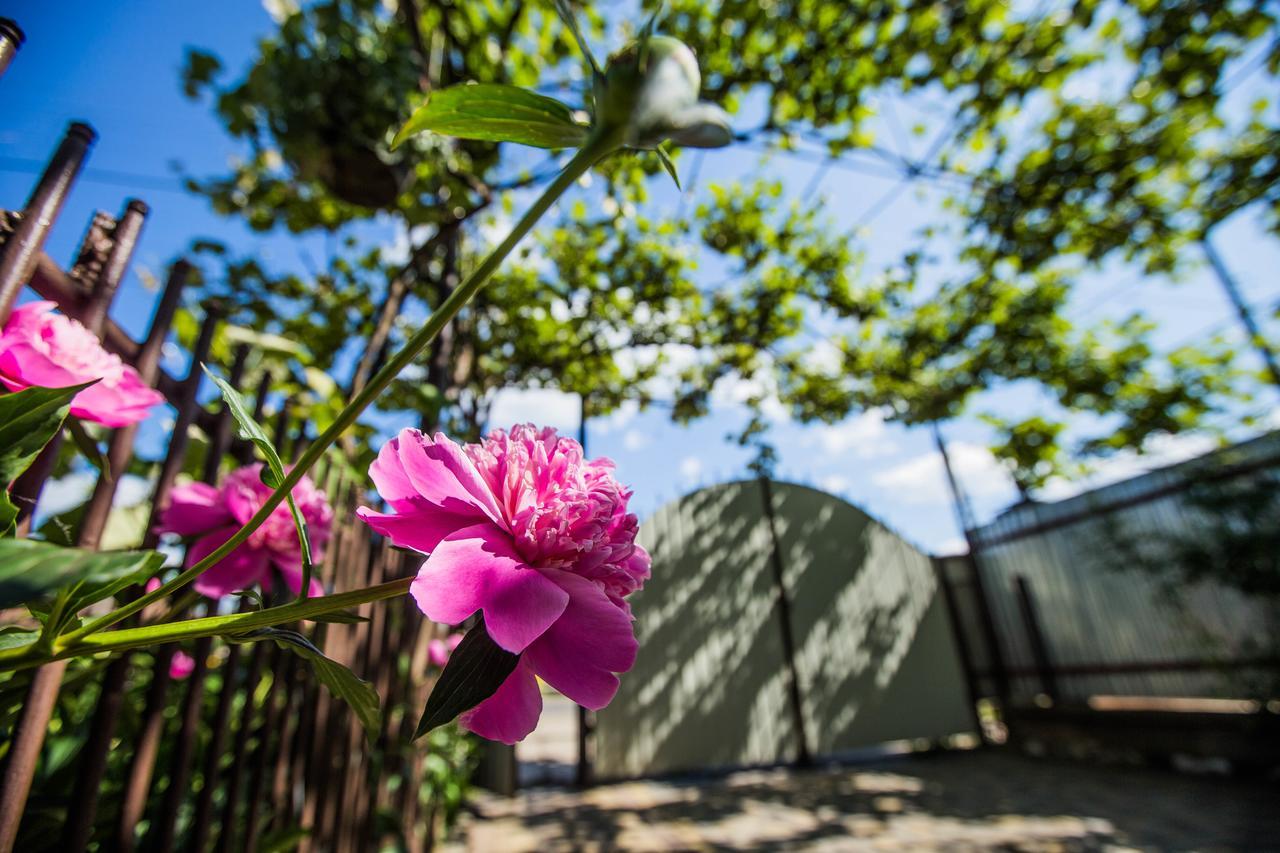 Guest House In Drachino Svalyava Exterior foto